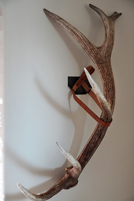 Elk shed antler display right-side-up