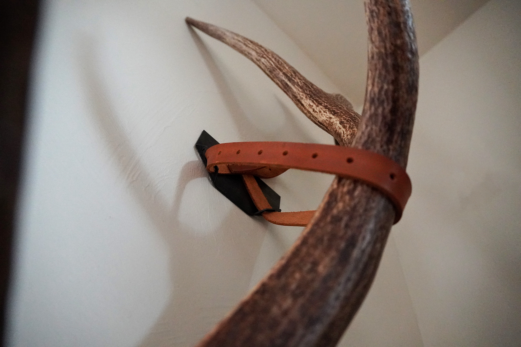 shed antler display on wall