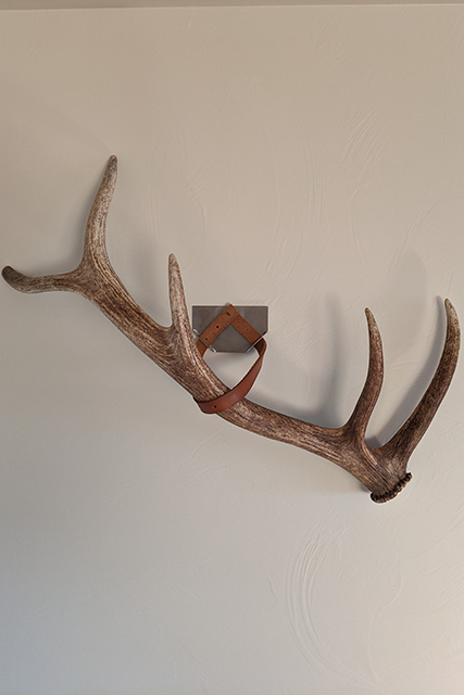 elk shed antler display on its side on wall