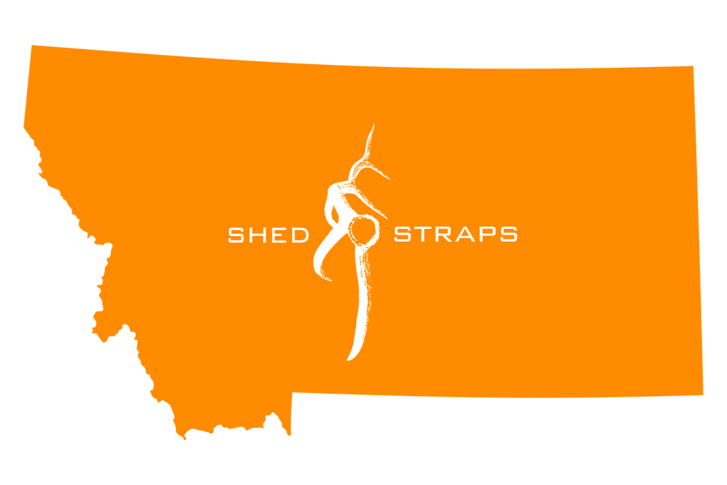 Shed antler display kits are made in Montana
